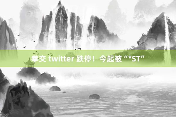 拳交 twitter 跌停！今起被“*ST”