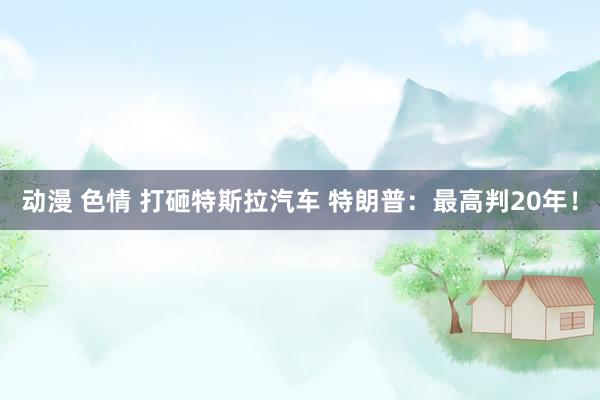 动漫 色情 打砸特斯拉汽车 特朗普：最高判20年！