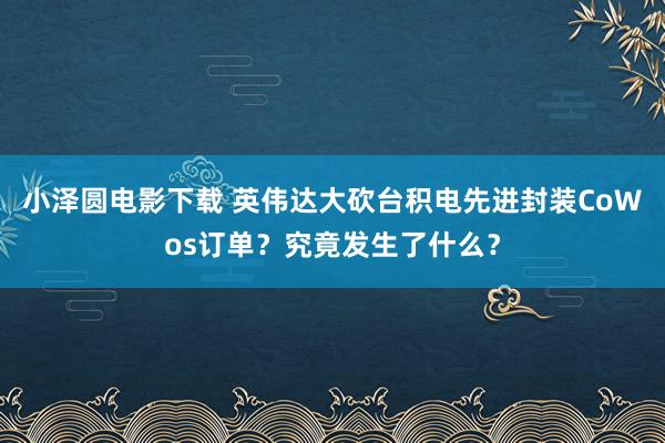 小泽圆电影下载 英伟达大砍台积电先进封装CoWos订单？究竟发生了什么？