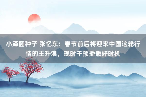 小泽圆种子 张忆东：春节前后将迎来中国这轮行情的主升浪，现时干预播撒好时机