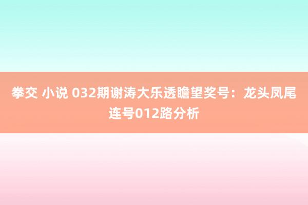 拳交 小说 032期谢涛大乐透瞻望奖号：龙头凤尾连号012路分析