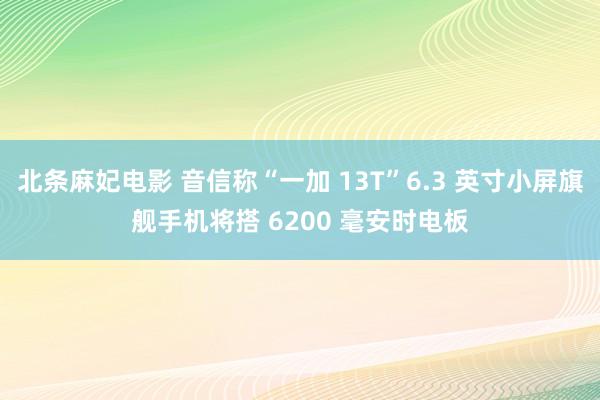 北条麻妃电影 音信称“一加 13T”6.3 英寸小屏旗舰手机将搭 6200 毫安时电板