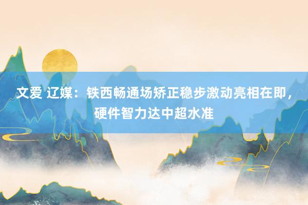 文爱 辽媒：铁西畅通场矫正稳步激动亮相在即，硬件智力达中超水准