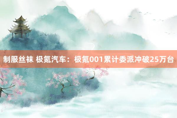 制服丝袜 极氪汽车：极氪001累计委派冲破25万台