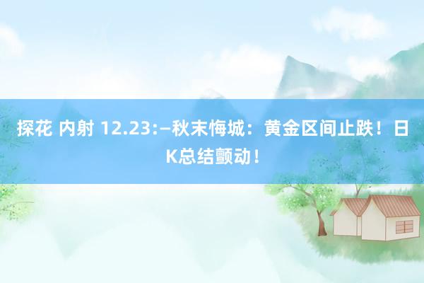 探花 内射 12.23:—秋末悔城：黄金区间止跌！日K总结颤动！