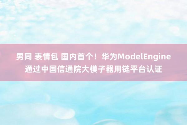 男同 表情包 国内首个！华为ModelEngine通过中国信通院大模子器用链平台认证