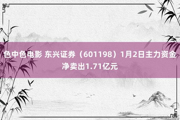 色中色电影 东兴证券（601198）1月2日主力资金净卖出1.71亿元