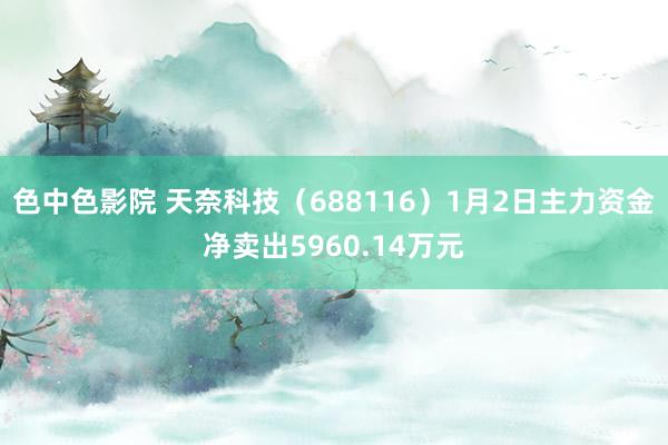 色中色影院 天奈科技（688116）1月2日主力资金净卖出5960.14万元