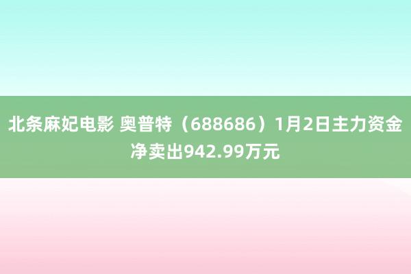 北条麻妃电影 奥普特（688686）1月2日主力资金净卖出942.99万元