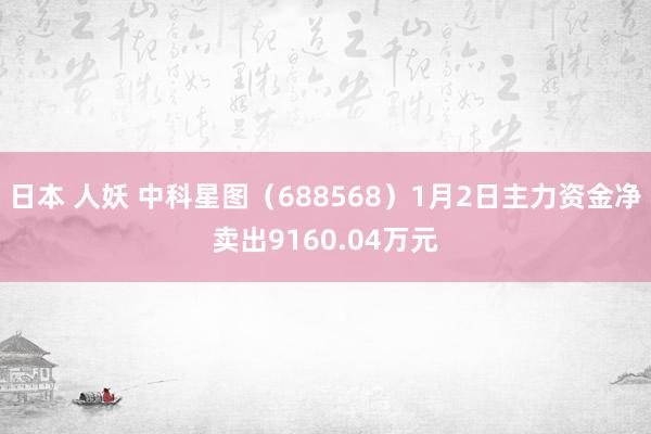 日本 人妖 中科星图（688568）1月2日主力资金净卖出9160.04万元