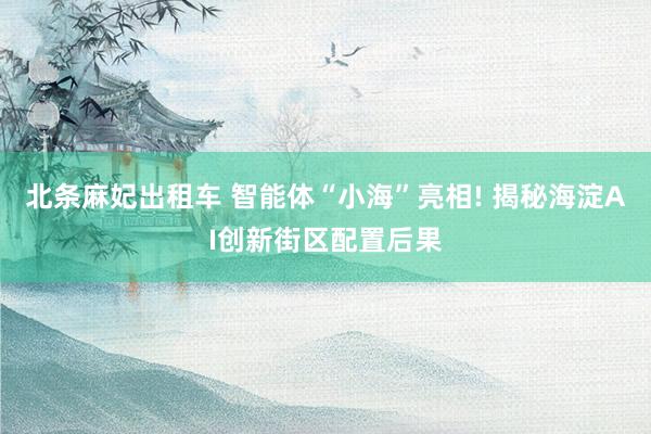 北条麻妃出租车 智能体“小海”亮相! 揭秘海淀AI创新街区配置后果