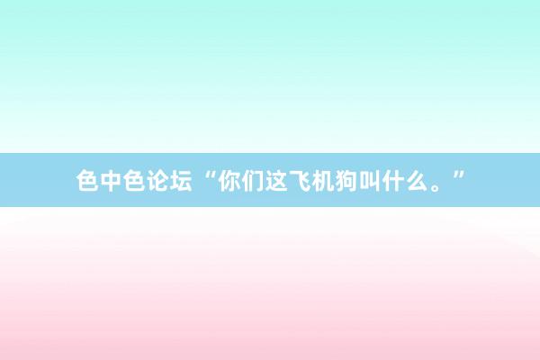 色中色论坛 “你们这飞机狗叫什么。”