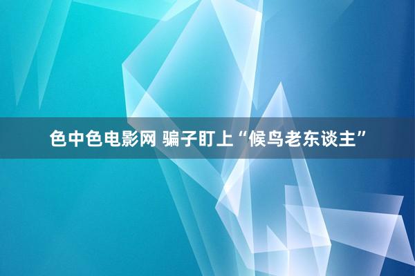 色中色电影网 骗子盯上“候鸟老东谈主”