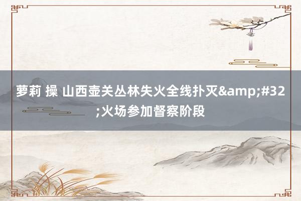 萝莉 操 山西壶关丛林失火全线扑灭&#32;火场参加督察阶段
