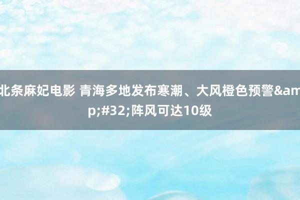 北条麻妃电影 青海多地发布寒潮、大风橙色预警&#32;阵风可达10级