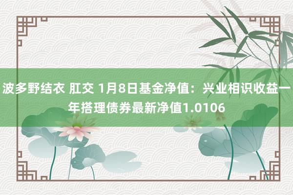 波多野结衣 肛交 1月8日基金净值：兴业相识收益一年搭理债券最新净值1.0106