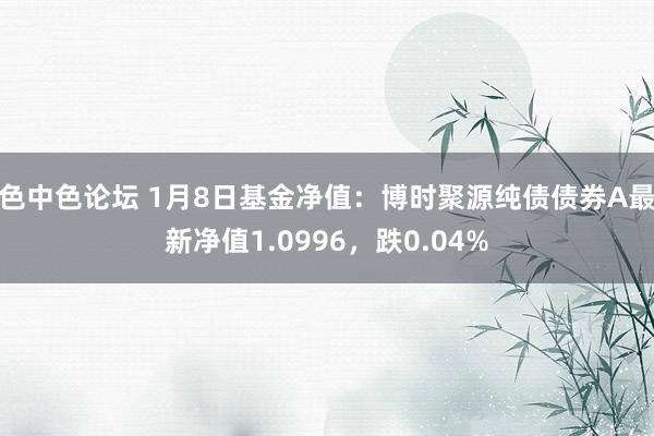 色中色论坛 1月8日基金净值：博时聚源纯债债券A最新净值1.0996，跌0.04%