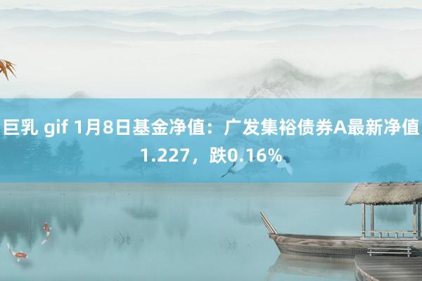 巨乳 gif 1月8日基金净值：广发集裕债券A最新净值1.227，跌0.16%