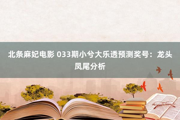 北条麻妃电影 033期小兮大乐透预测奖号：龙头凤尾分析