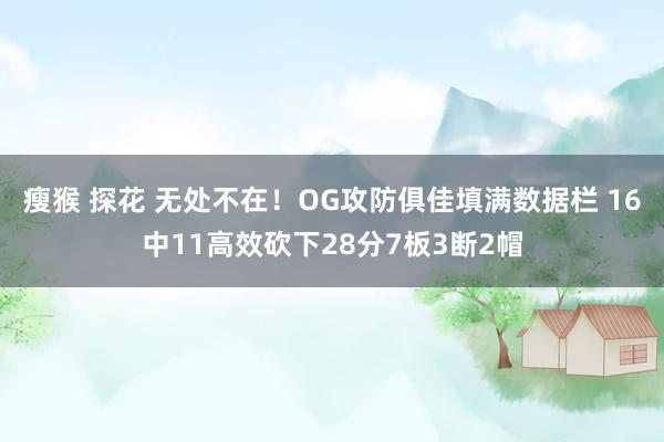 瘦猴 探花 无处不在！OG攻防俱佳填满数据栏 16中11高效砍下28分7板3断2帽