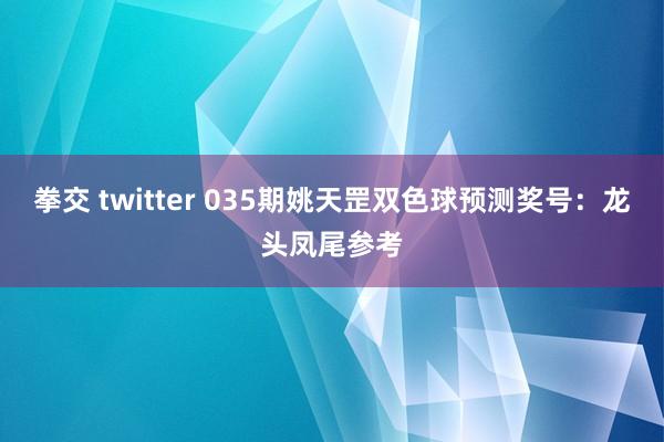 拳交 twitter 035期姚天罡双色球预测奖号：龙头凤尾参考
