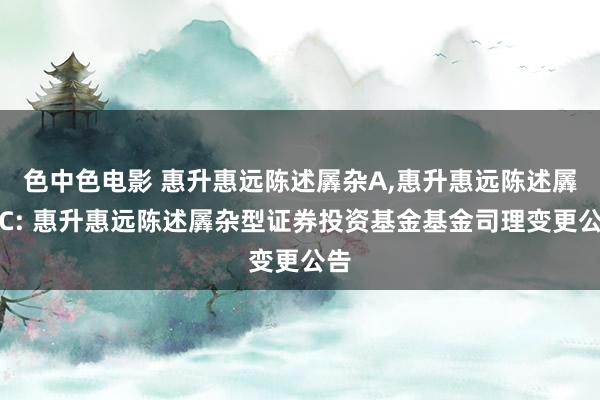 色中色电影 惠升惠远陈述羼杂A,惠升惠远陈述羼杂C: 惠升惠远陈述羼杂型证券投资基金基金司理变更公告