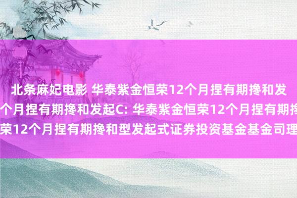 北条麻妃电影 华泰紫金恒荣12个月捏有期搀和发起A,华泰紫金恒荣12个月捏有期搀和发起C: 华泰紫金恒荣12个月捏有期搀和型发起式证券投资基金基金司理变更的公告