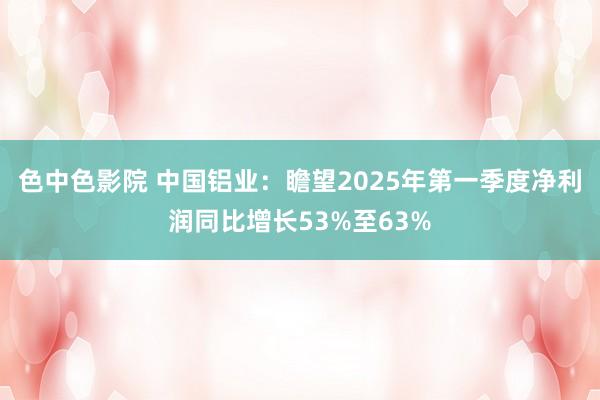 色中色影院 中国铝业：瞻望2025年第一季度净利润同比增长53%至63%