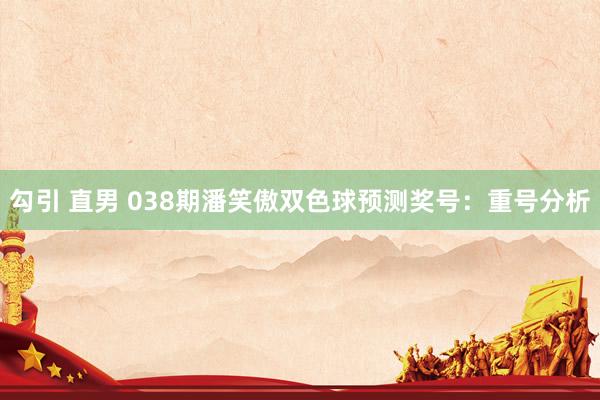 勾引 直男 038期潘笑傲双色球预测奖号：重号分析