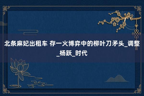 北条麻妃出租车 存一火博弈中的柳叶刀矛头_调整_杨跃_时代