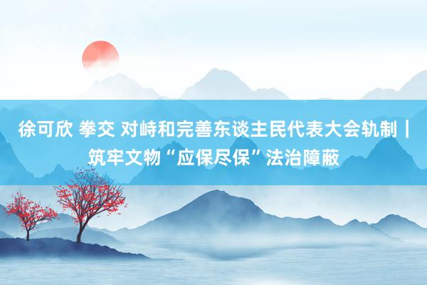 徐可欣 拳交 对峙和完善东谈主民代表大会轨制｜筑牢文物“应保尽保”法治障蔽