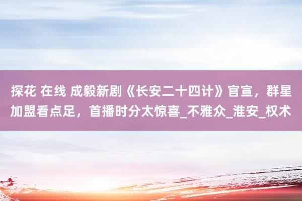 探花 在线 成毅新剧《长安二十四计》官宣，群星加盟看点足，首播时分太惊喜_不雅众_淮安_权术