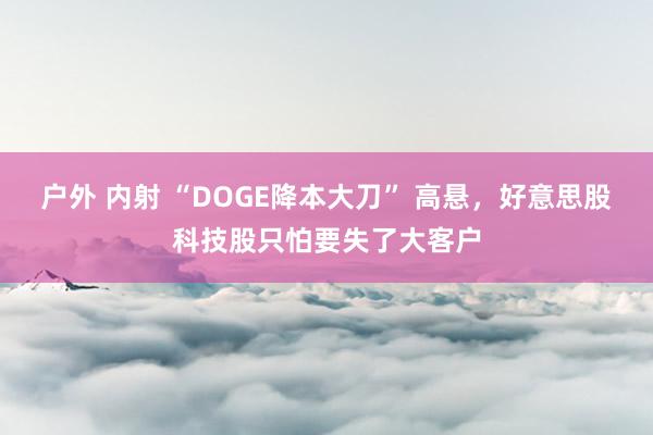 户外 内射 “DOGE降本大刀” 高悬，好意思股科技股只怕要失了大客户