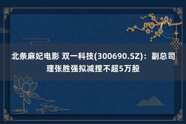 北条麻妃电影 双一科技(300690.SZ)：副总司理张胜强拟减捏不超5万股