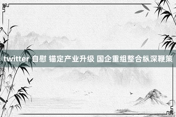 twitter 自慰 锚定产业升级 国企重组整合纵深鞭策