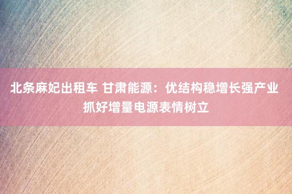 北条麻妃出租车 甘肃能源：优结构稳增长强产业 抓好增量电源表情树立