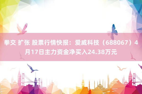 拳交 扩张 股票行情快报：爱威科技（688067）4月17日主力资金净买入24.38万元
