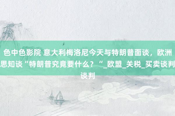 色中色影院 意大利梅洛尼今天与特朗普面谈，欧洲思知谈“特朗普究竟要什么？“_欧盟_关税_买卖谈判