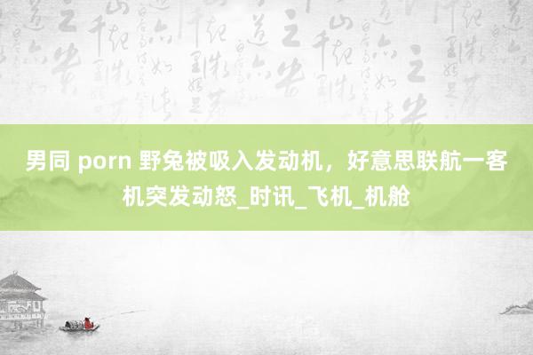 男同 porn 野兔被吸入发动机，好意思联航一客机突发动怒_时讯_飞机_机舱