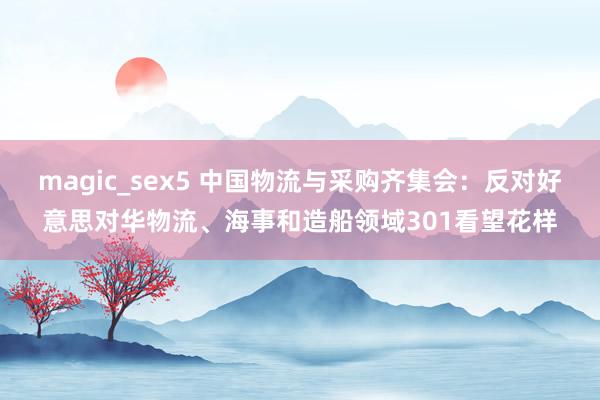 magic_sex5 中国物流与采购齐集会：反对好意思对华物流、海事和造船领域301看望花样