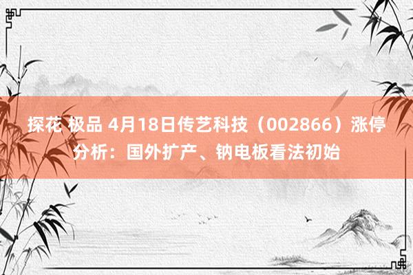 探花 极品 4月18日传艺科技（002866）涨停分析：国外扩产、钠电板看法初始