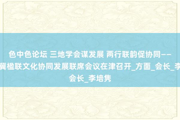 色中色论坛 三地学会谋发展 两行联韵促协同——京津冀楹联文化协同发展联席会议在津召开_方面_会长_李培隽