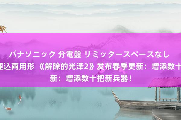 パナソニック 分電盤 リミッタースペースなし 露出・半埋込両用形 《解除的光泽2》发布春季更新：增添数十把新兵器！