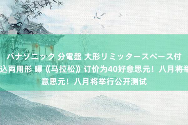 パナソニック 分電盤 大形リミッタースペース付 露出・半埋込両用形 曝《马拉松》订价为40好意思元！八月将举行公开测试