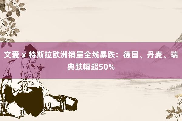 文爱 x 特斯拉欧洲销量全线暴跌：德国、丹麦、瑞典跌幅超50%