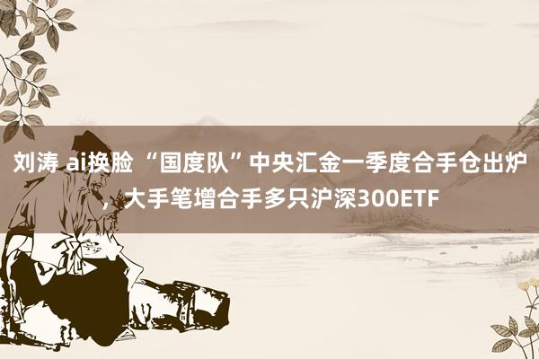 刘涛 ai换脸 “国度队”中央汇金一季度合手仓出炉，大手笔增合手多只沪深300ETF