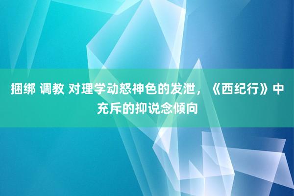 捆绑 调教 对理学动怒神色的发泄，《西纪行》中充斥的抑说念倾向