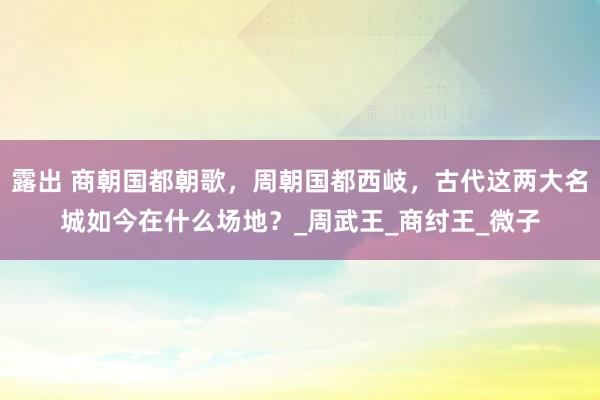 露出 商朝国都朝歌，周朝国都西岐，古代这两大名城如今在什么场地？_周武王_商纣王_微子