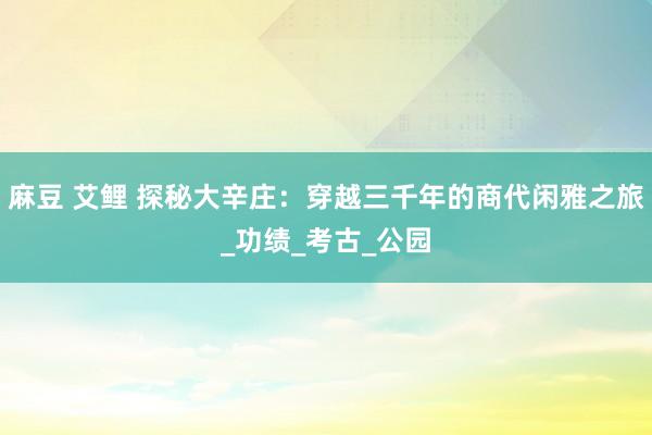 麻豆 艾鲤 探秘大辛庄：穿越三千年的商代闲雅之旅_功绩_考古_公园