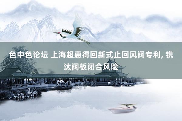色中色论坛 上海超惠得回新式止回风阀专利， 镌汰阀板闭合风险